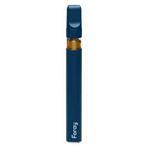 Foray - Indica Blackberry Cream Disposable Pen - 0.3g