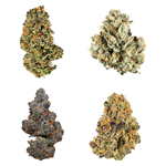 Potluck - Canada Collection Variety Ounce - Hybrid - 28g