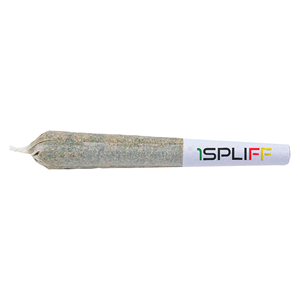 1Spliff - Caddy Mega Sampler Pack - Hybrid - 12x0.5g