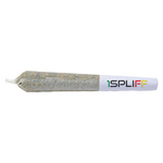 1Spliff - Orange Rntz Pre-Roll - Hybrid - 10x0.35g