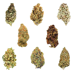Potluck - Dankmas Feast Variety Pack - Hybrid - 28g