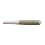 SHRED - Gnarberry J's Pre-Rolls - 14x0.5g