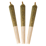 GREAZY - Hash Oil Infused Pre-Roll - Hybrid - 3x0.5g
