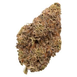 FIGR - Chatty Kathy - Sativa - 3.5g